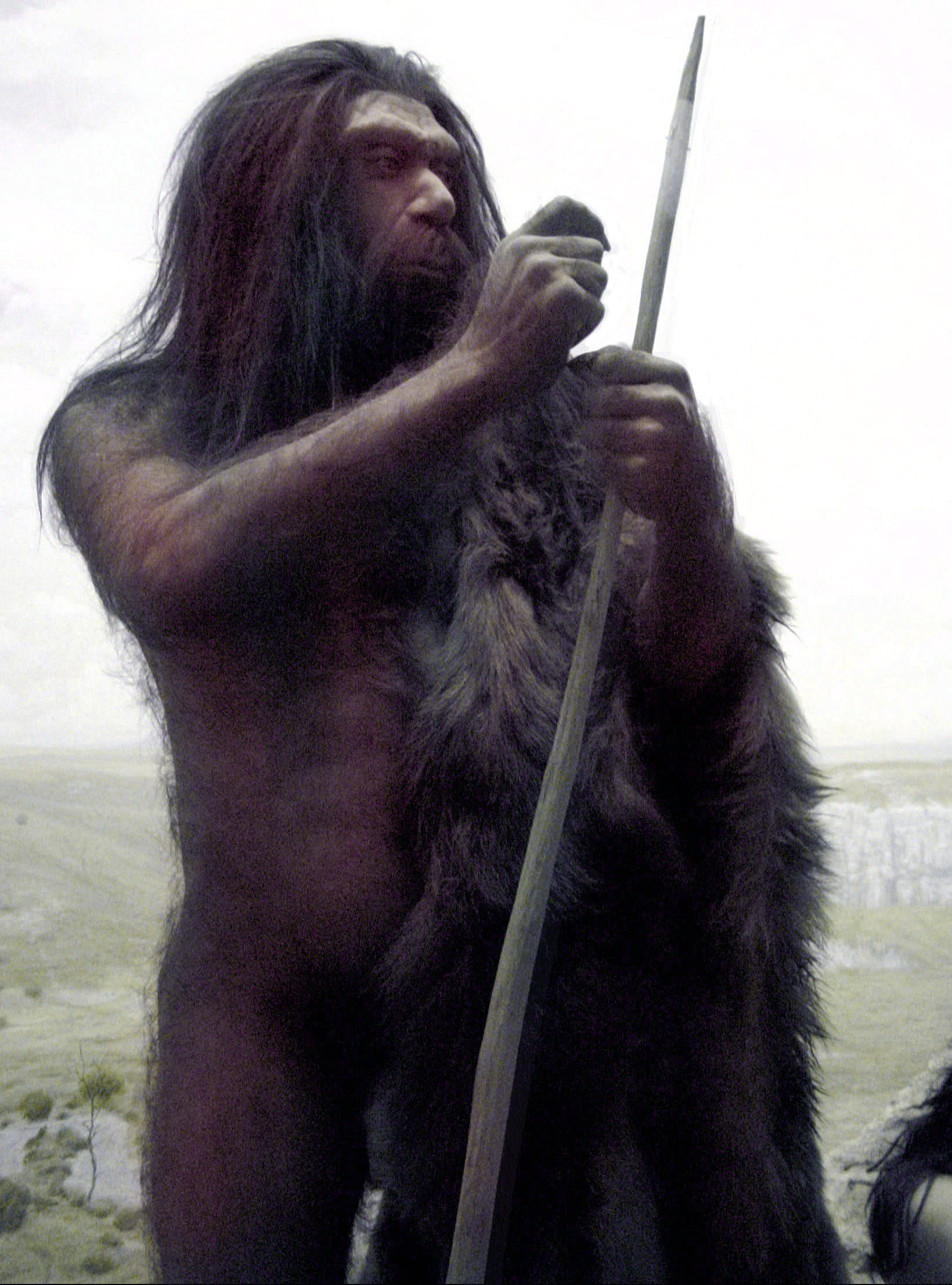 Neanderthalare