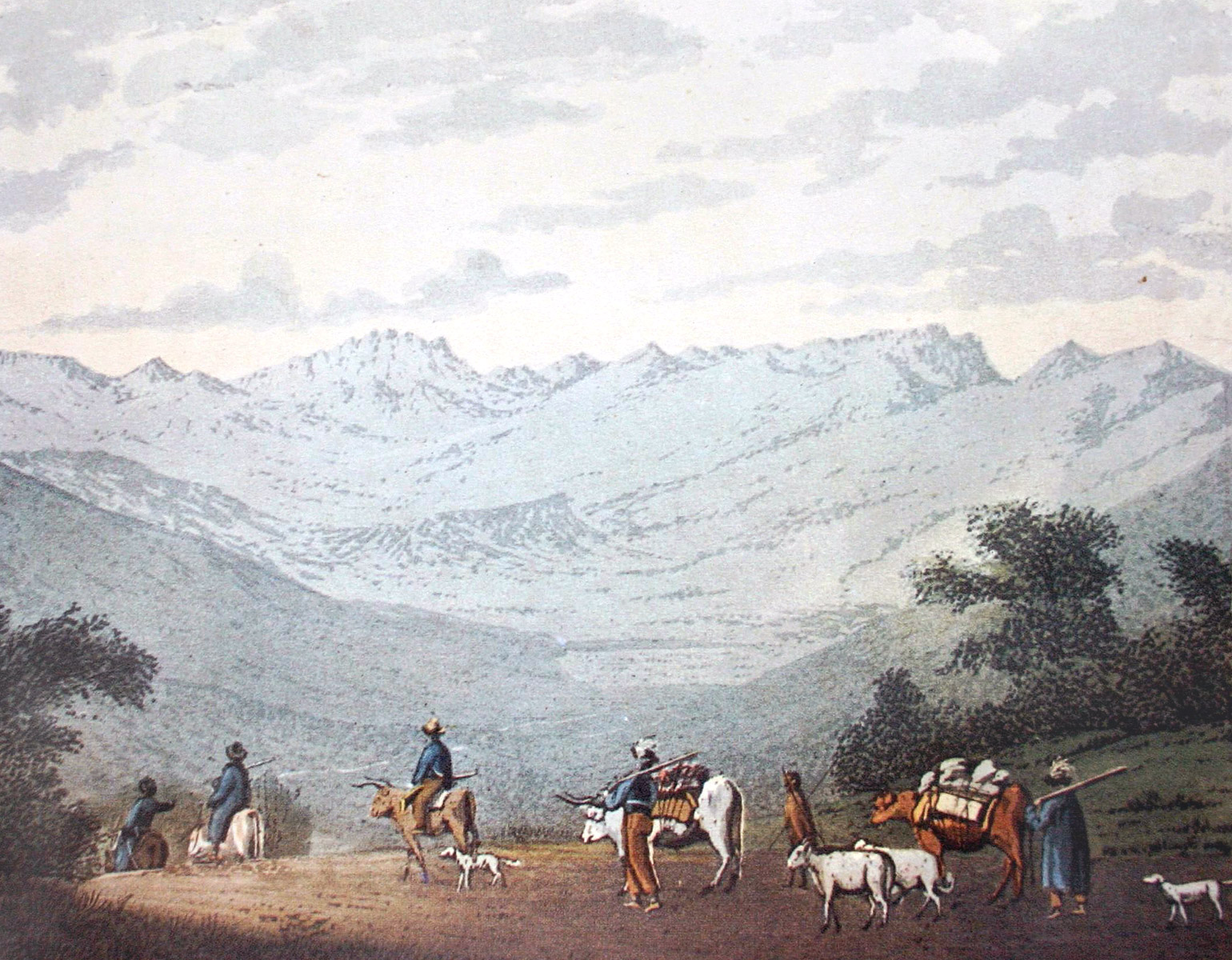 Boer i ett bergslandskap.