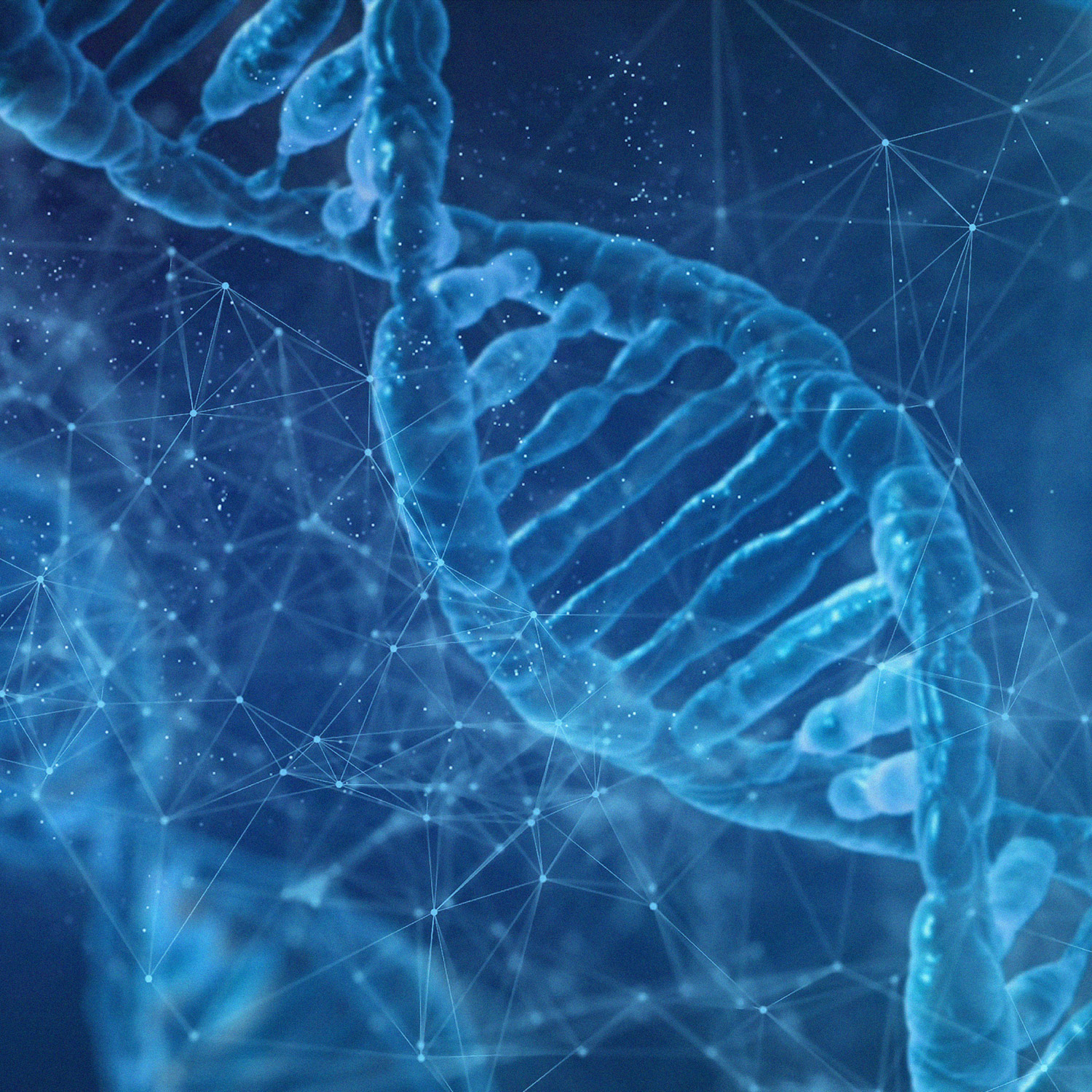 Qizlar bilan gozal sexy eshak külot va sperma bilan Dik