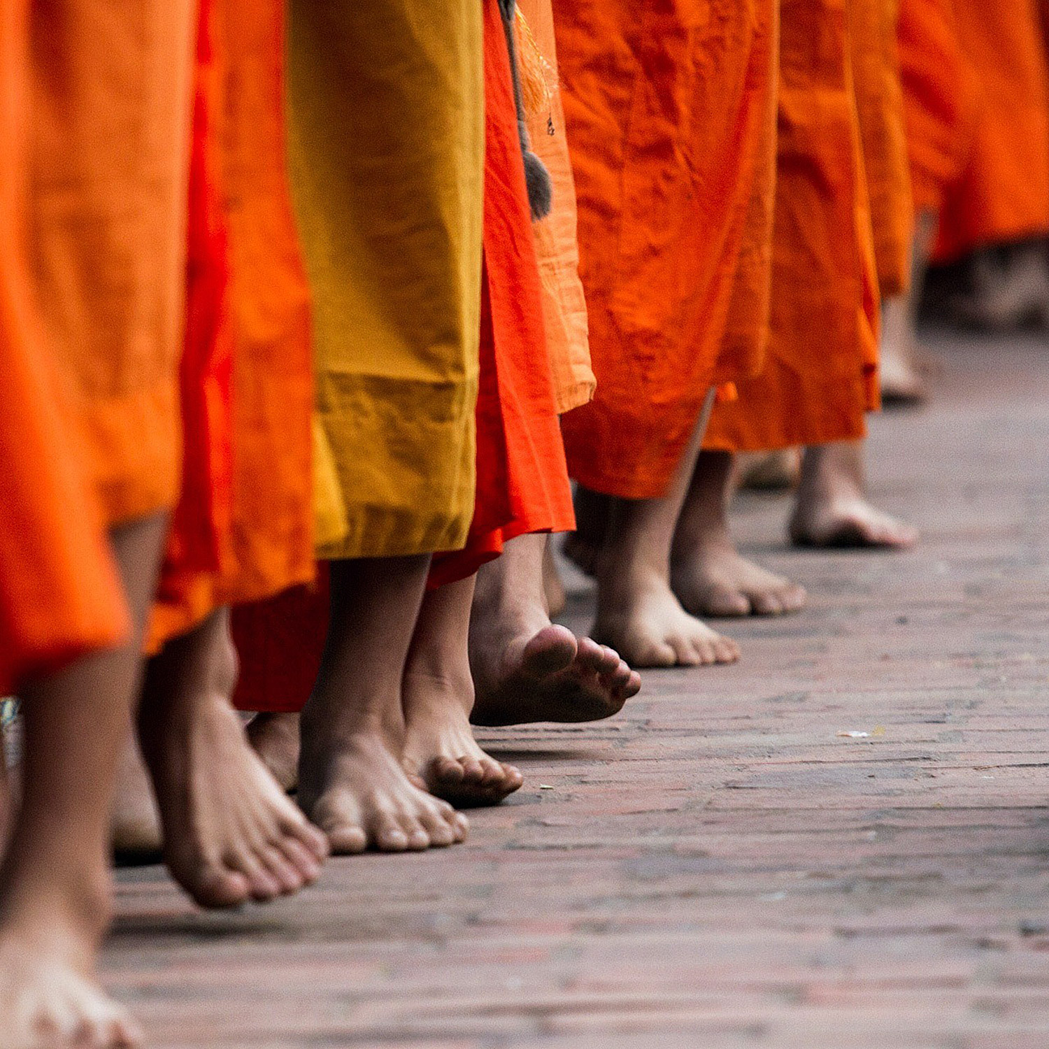 Foto där endast nedre delen av kroppen syns på vandrande munkar som går på led. Alla bär oranga dräkter och är barfota.