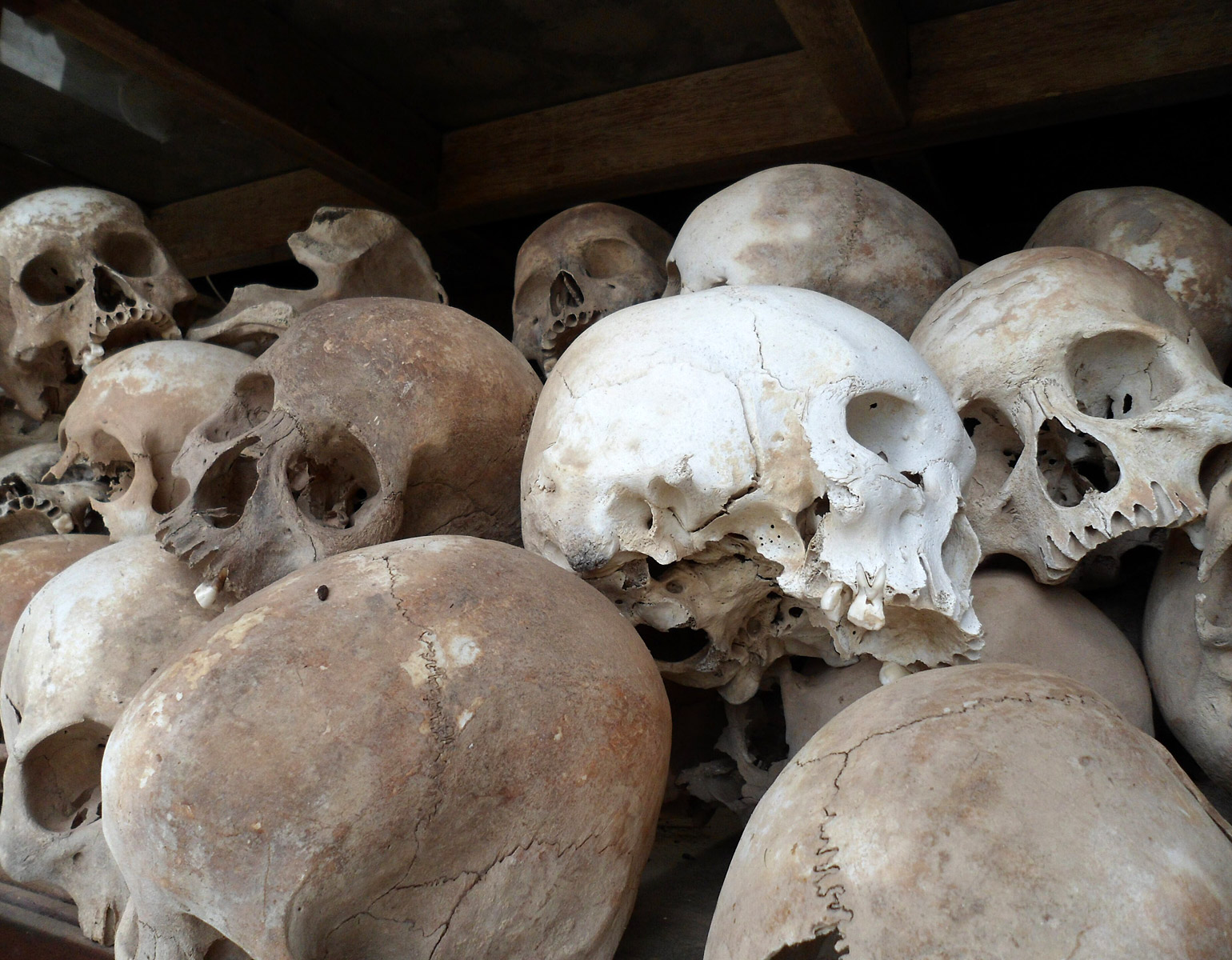 Ett hög med dödskallar i en monter.
