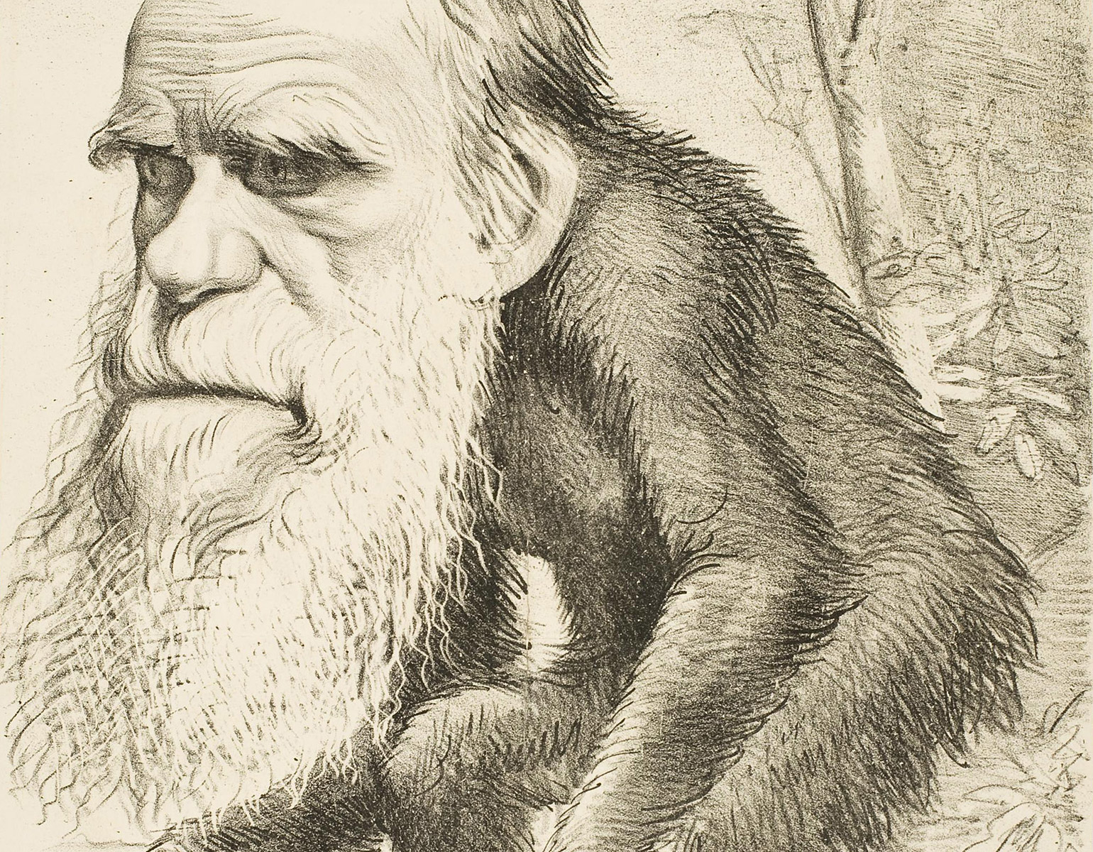 DArwins huvud på en apas kropp.