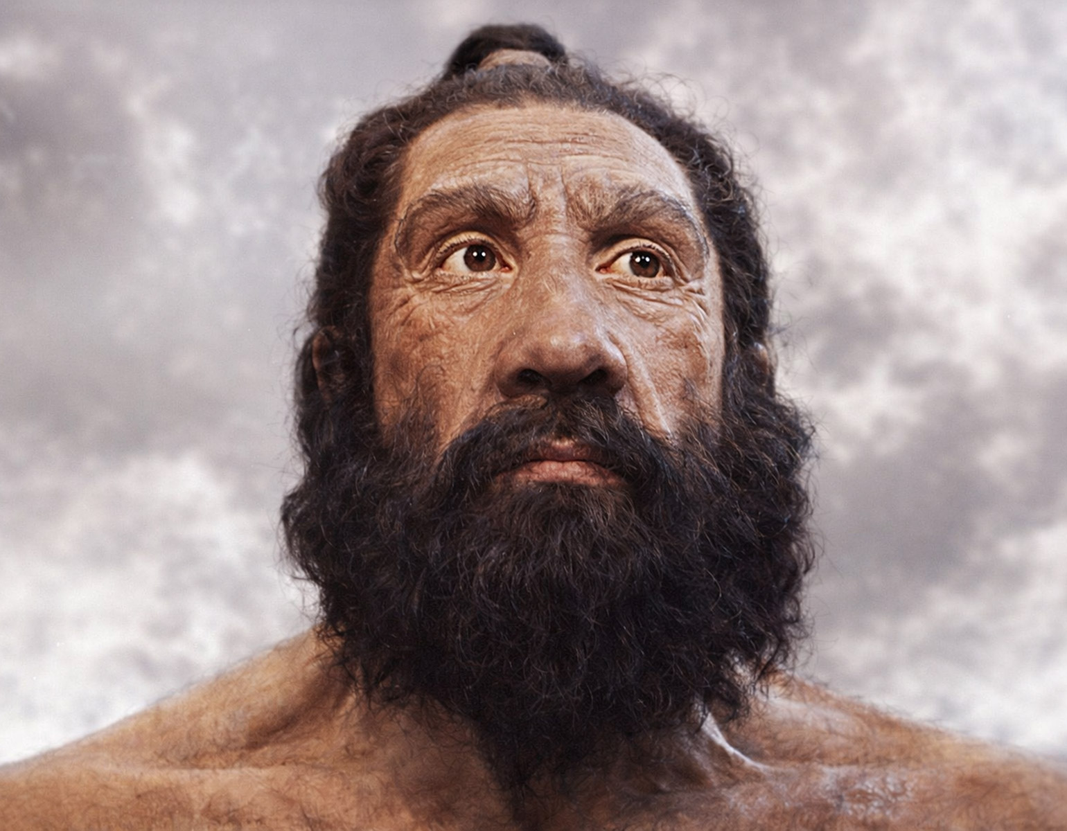 Neandertalare, man i 30-årsåldern, i närbild. 