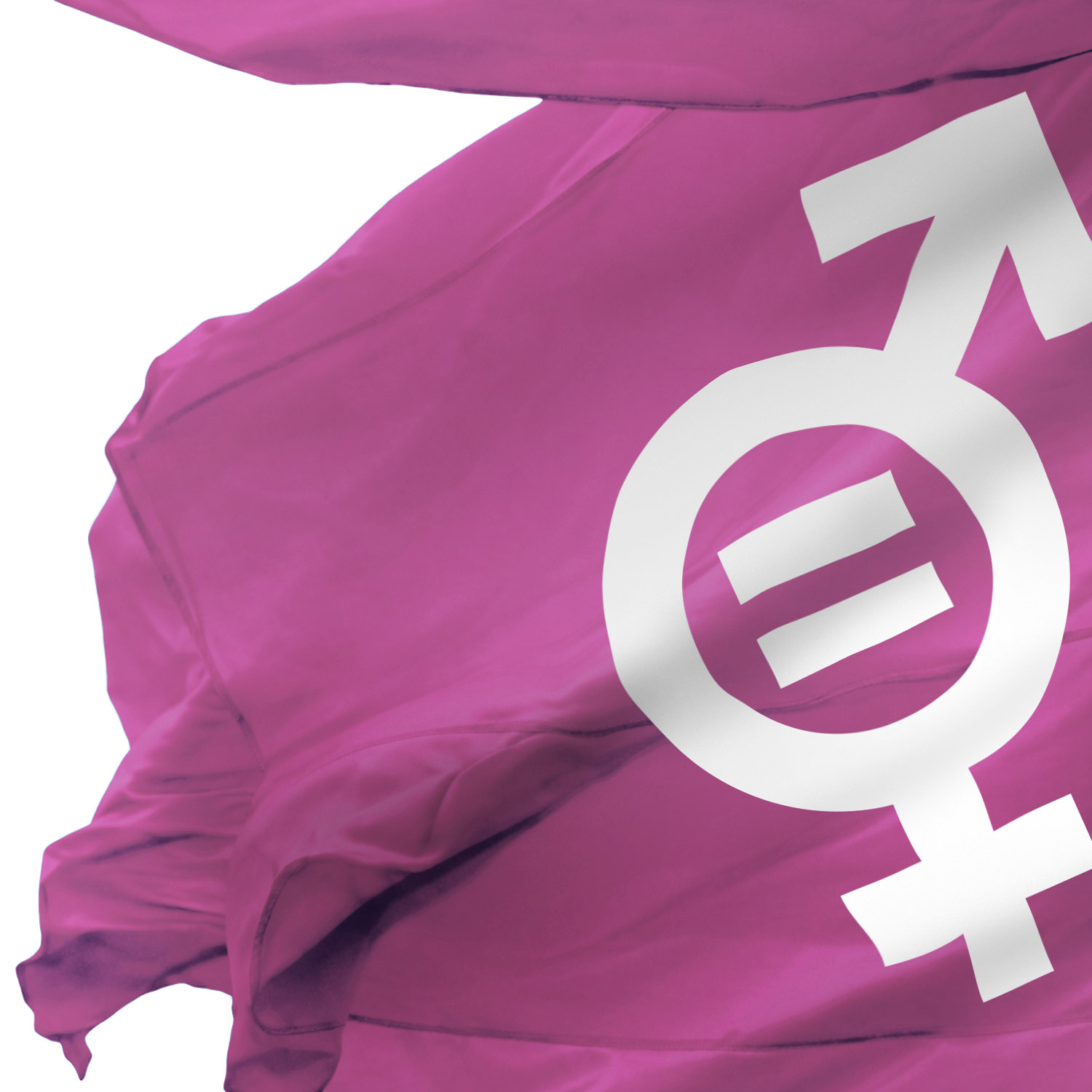 Rosa-lila-flagga med feministisk jämlikhetssymbol i mitten.