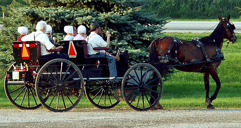 Amish