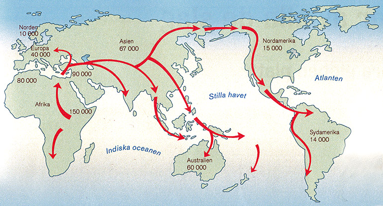 Karta homo sapiens