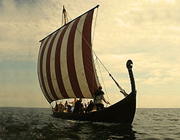 Bildresultat fÃ¶r vikingar